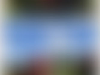 枝豆の集荷作業