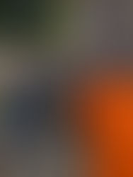 Growing into Right Relationship