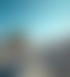 Lake Land Services Guide: Comprehensive Offerings by Lake Land Designs