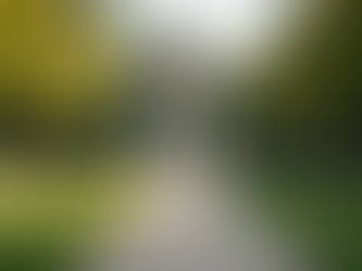 Transforming Ideas into Reality: A Project Walkthrough with Capstone Monuments