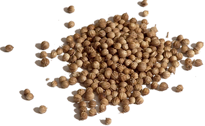 Coriander is another common spice in falafel