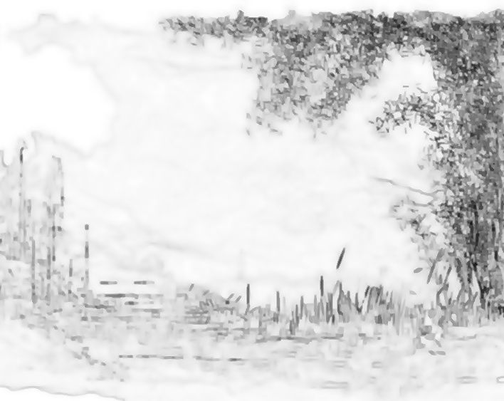 Miniatura: Imagem Pintura Digital para Pintar