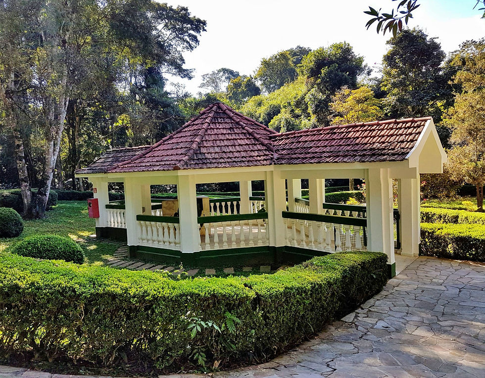 Miniatura: Foto Paisagem Digitalizada