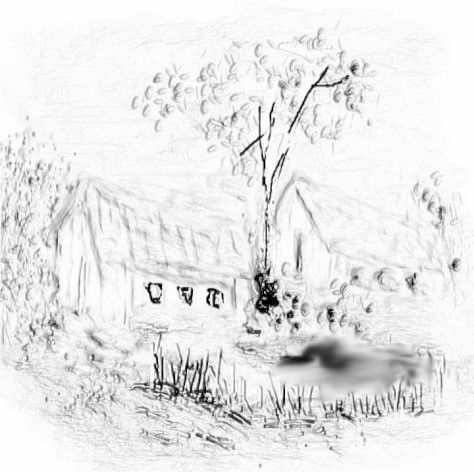 Miniatura: Imagem Digital para Pintar