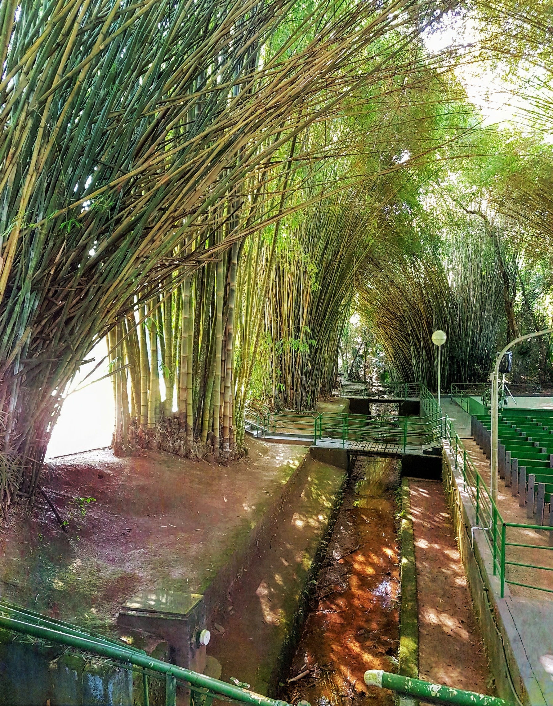 Foto Paisagem Digitalizada