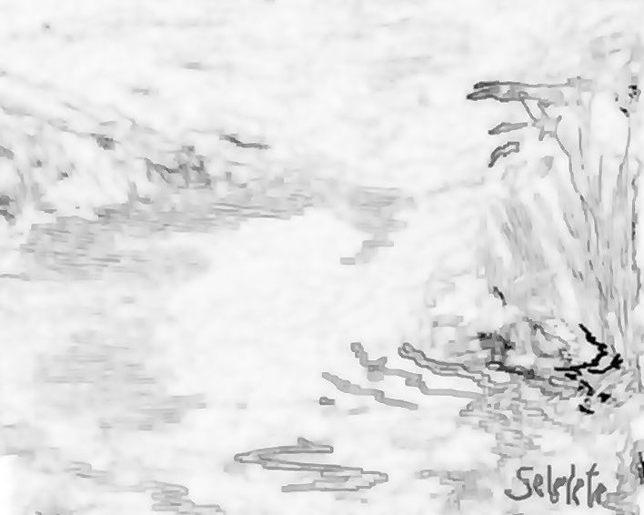 Miniatura: Imagem Pintura Digital para Pintar