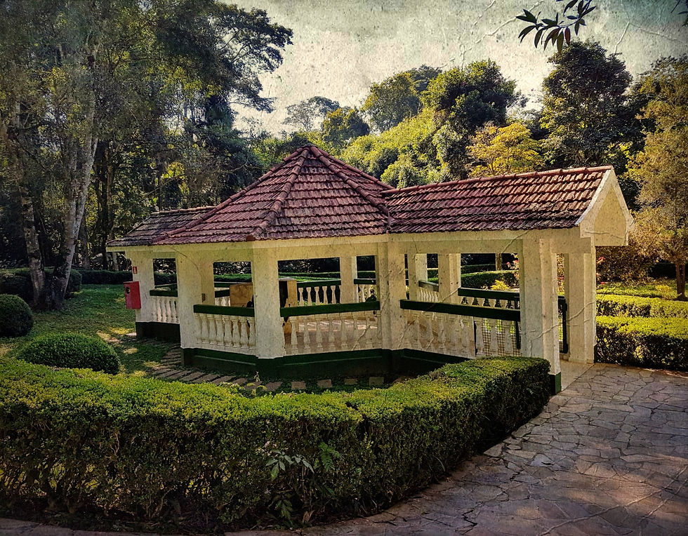 Miniatura: Foto Paisagem Digitalizada