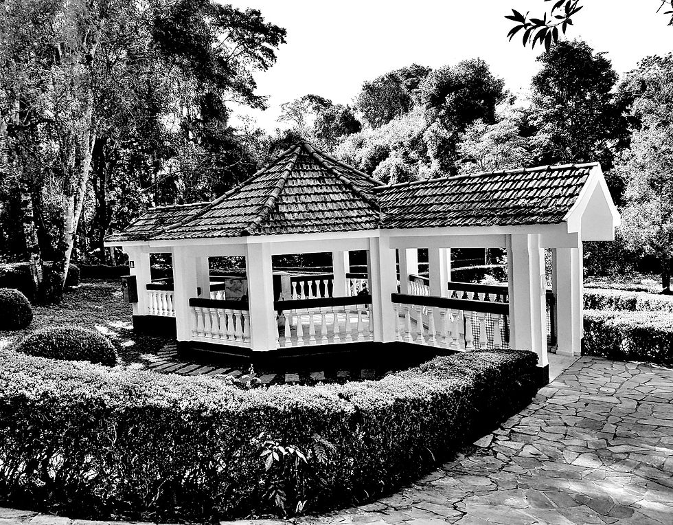 Miniatura: Foto Paisagem para Pintar
