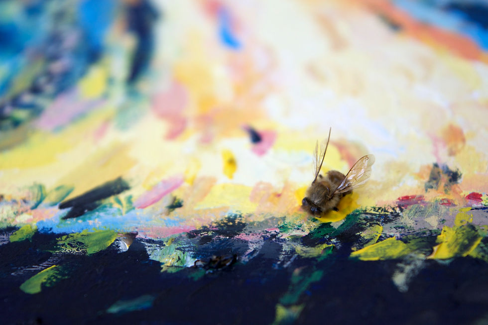 Taijitu's Bumble Bee Closeup
