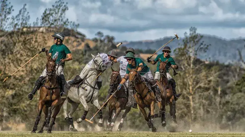 polo-images-NZ