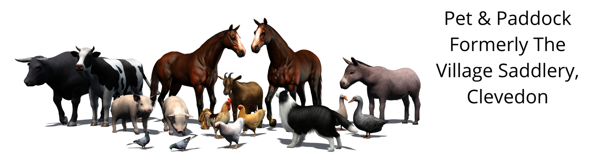 Pet and Paddock content media