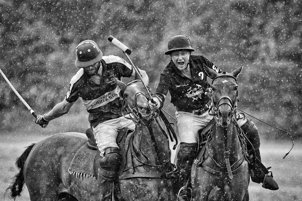 nz-polo images