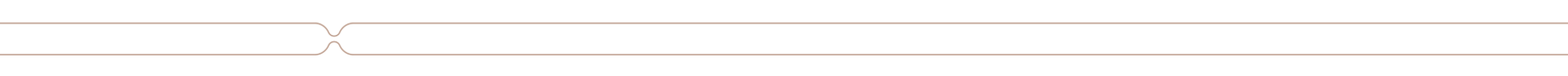 detalhe-unico.png