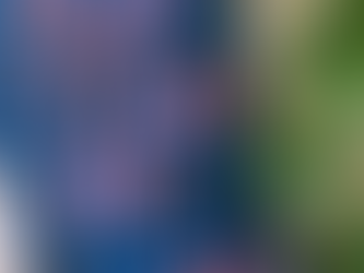 Book Review: Such A Fun Age