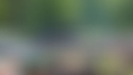 Highland Games am 25.06. in Canstein, Seven Hell spielt als Mainact!