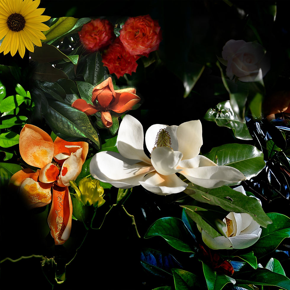 flower collage (1).jpg
