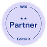 Partner WIX Pioneer.png