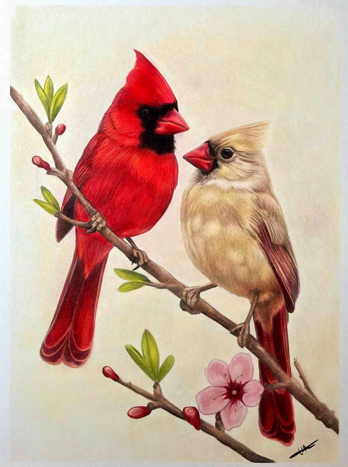 “Cardinal” Portrait-Original Artwork