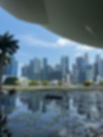 IMG_0247.jpeg