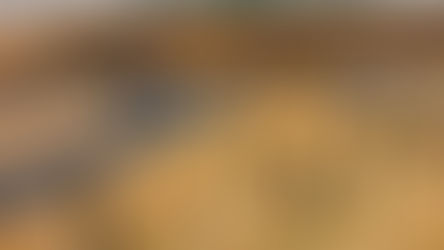 【活動報告】豊島区｜東京ヴェルディ連携協定締結事業「マルチスポーツ体験会」の開催について