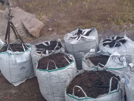 Gestão Ambiental em Ação!