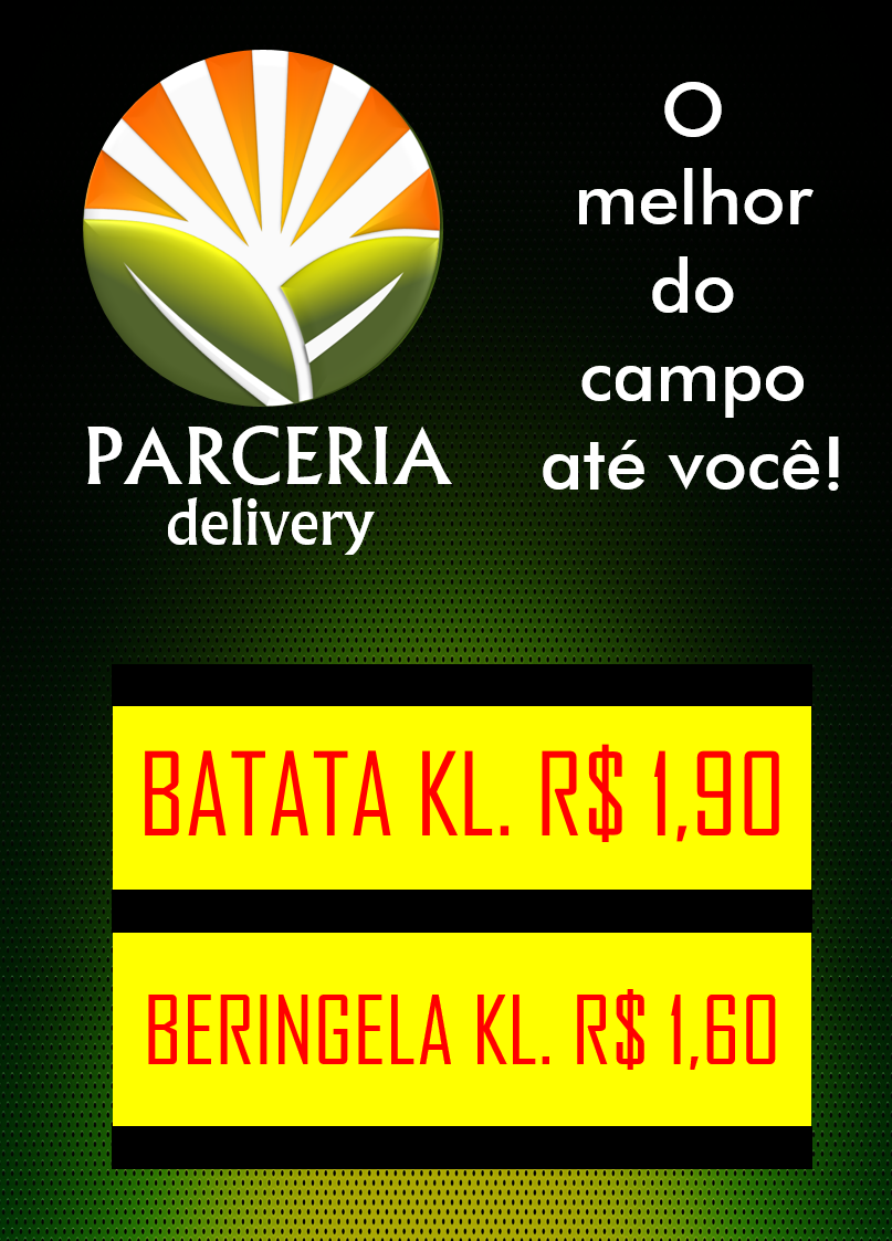 criação de post studio coruja