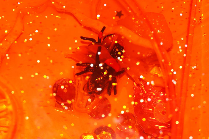 The 70s (orange) (Brooke) Edited.jpg