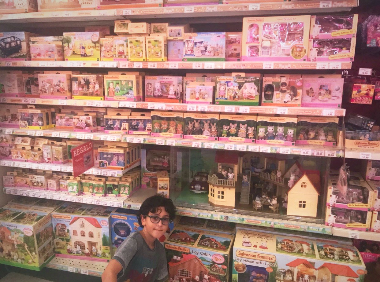 sylvanian family collection