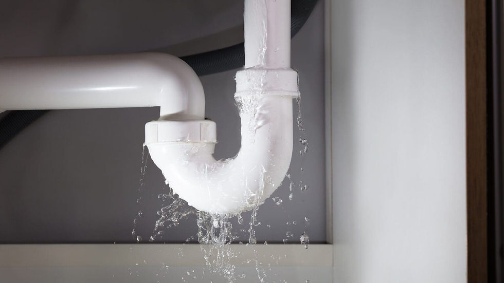 Under-sink plumbing leak causing cabinet damage in a Missouri home