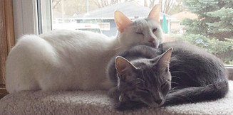 cocoandbonnie_edited.jpg