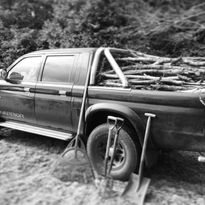 Hedge and Tree Reduction