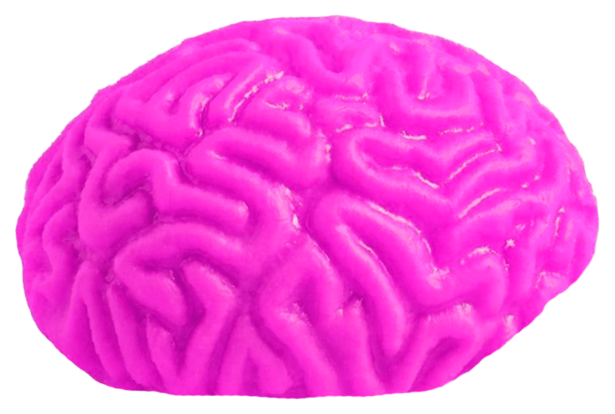 Imagenes peques CEREBRO PRINCIPAL 2.png