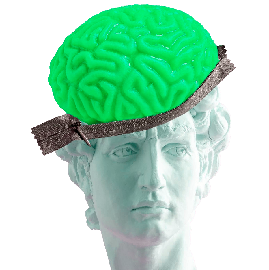 COLORES CEREBROS5.png