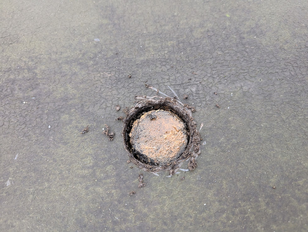 Natte isolatie in een geopend dakdetail, met zichtbaar vocht en aangetaste isolatielaag.