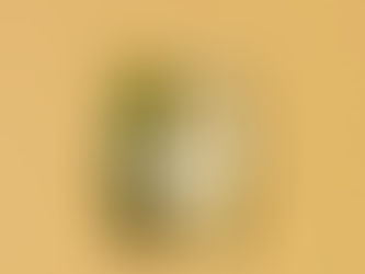 AW25 Task 6.1 Understanding basics