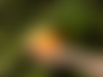 AW26 Task 7.3 Play with parallax