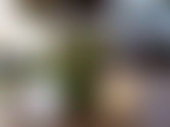 The Art of Photography / Question 1