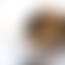 Kριτσίνια βρώμης