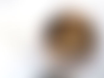 Kριτσίνια βρώμης