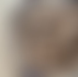 Christmas Cookies 🎄