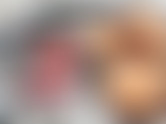 Protein X-Mas Cookies🎄