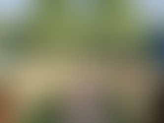 Redefining Event Visualisation: Silverley Visuals' Architectural Prowess Takes Events to New Heights