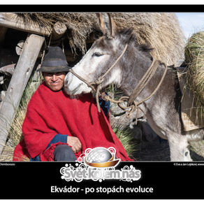 Putování po dynamickém Ekvádoru 