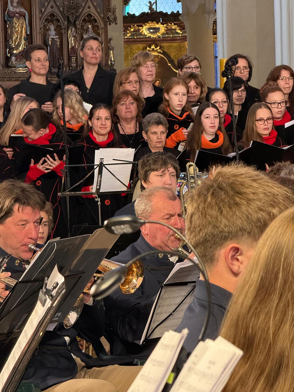 Jak jsem si užila páteční večer aneb ohlédnutí za sedleckým koncertem