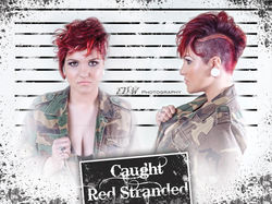 10369066_567181283393264_9171515801454801921_o