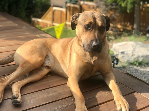 Marley