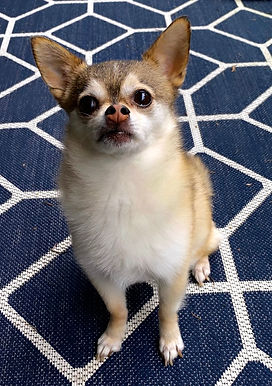 Nyah
