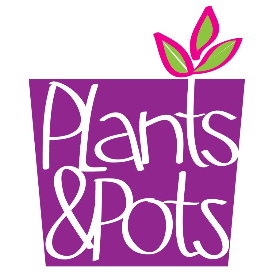 Plants & Pots