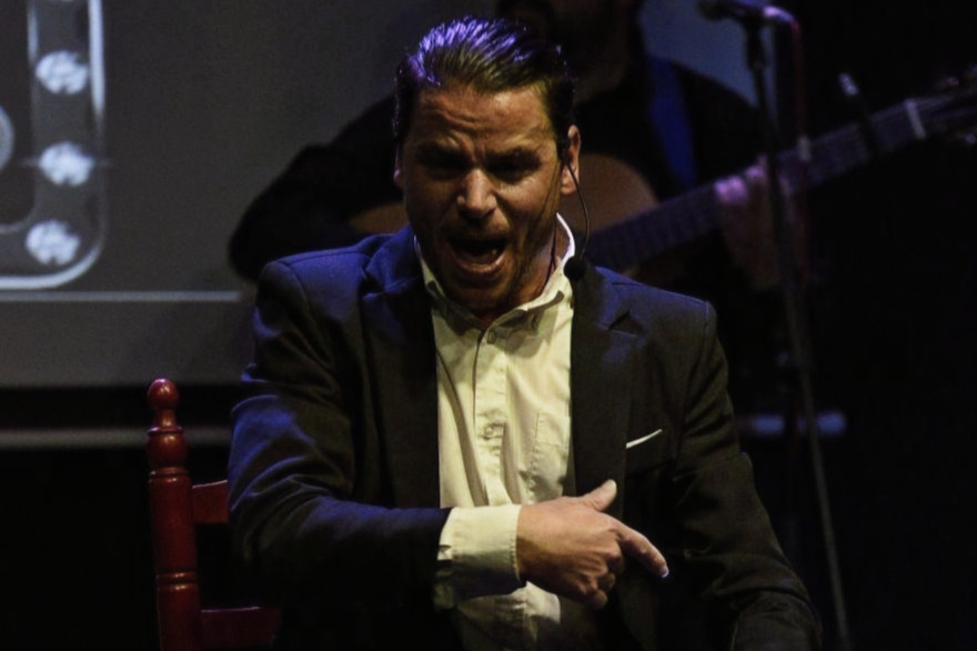 Clases personalizadas Cante Flamenco
