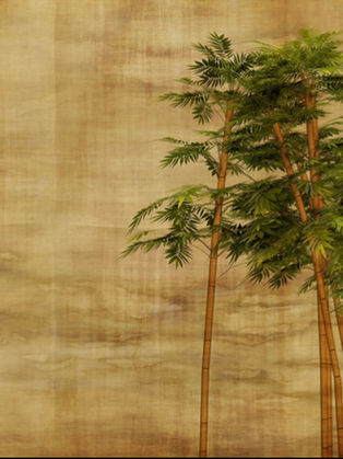 Kokoro by Natsume Sōseki ✦ Book Review